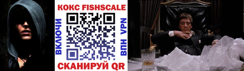 mega как зайти  продажа наркотиков  Сольвычегодск  Кокаин Fish Scale 