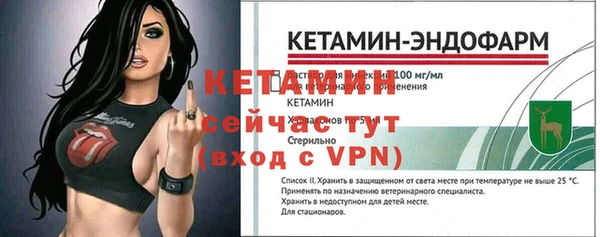 СК Пересвет