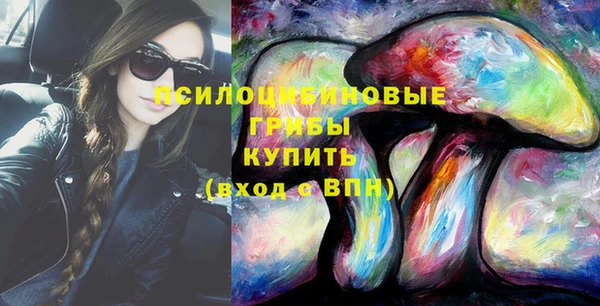 дмт Алексин