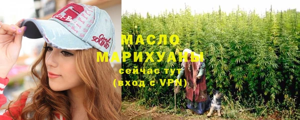 дмт Алексин