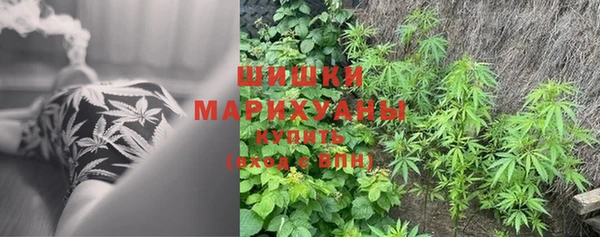 2c-b Абаза