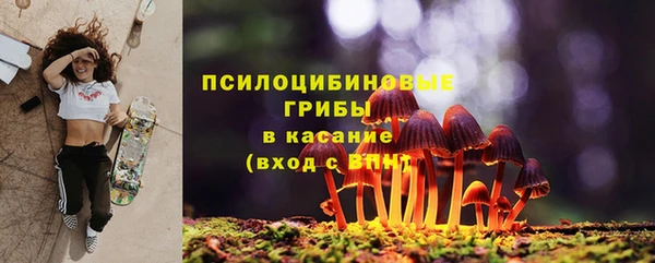 дмт Алексин